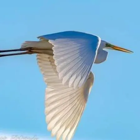 T2: 45m2 :4 Places :independant Dans Ιέρ