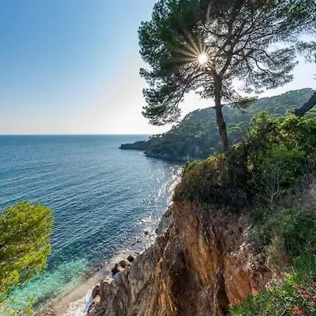 T2: 45m2 :4 Places :independant Dans * Hyeres